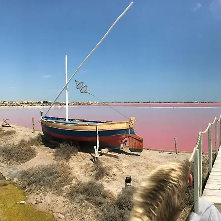 Daire T 3 Les Jardins Du Phoebus *